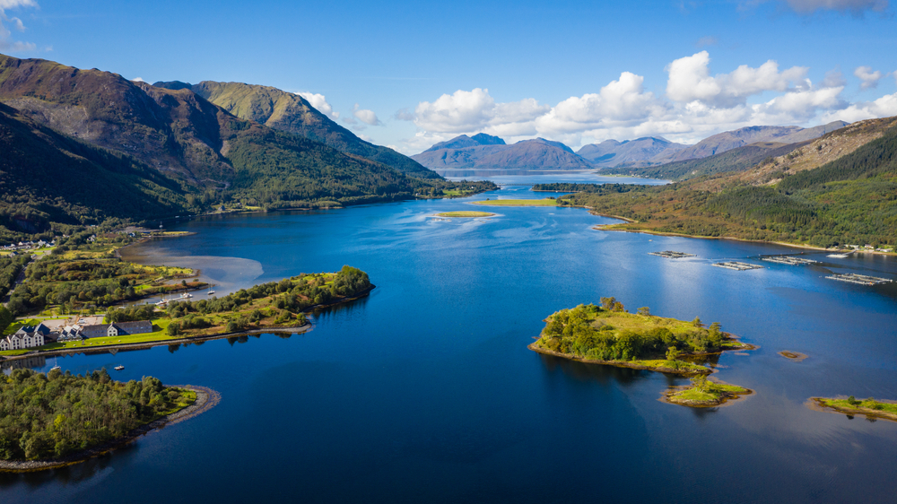 Loch Linnhe dog friendly walks