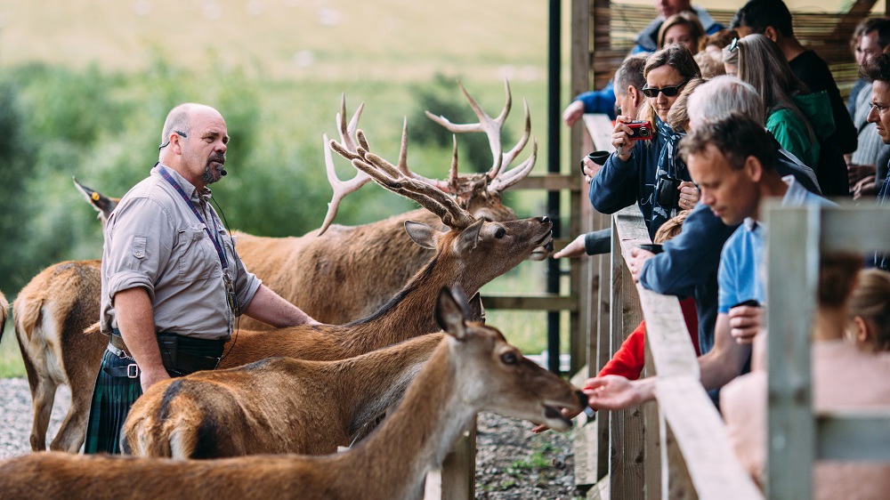 Highland Safaris Highland Safaris